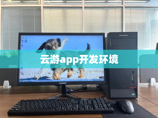 云游app开发环境