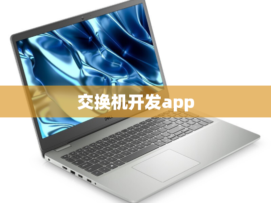 交换机开发app