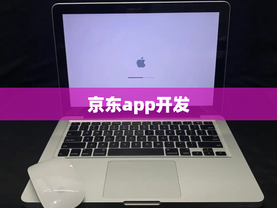 京东app开发