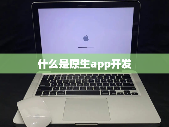 什么是原生app开发