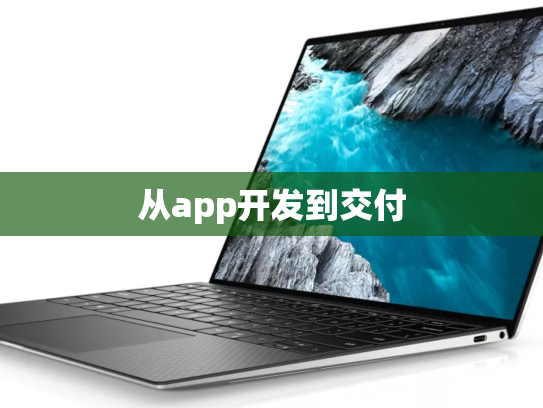 从app开发到交付