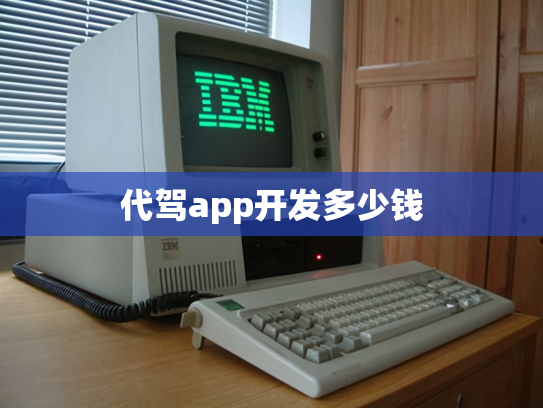 代驾app开发多少钱