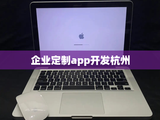 企业定制app开发杭州