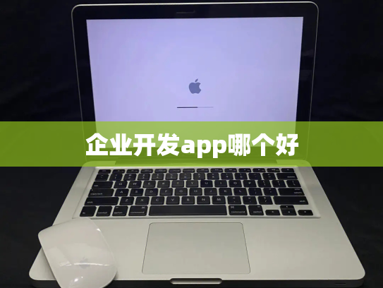 企业开发app哪个好
