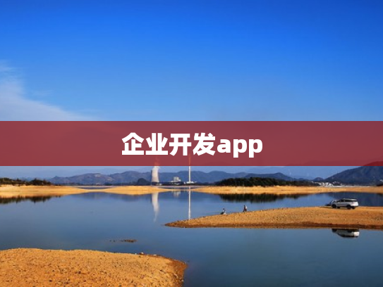 企业开发app