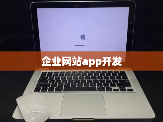 企业网站app开发