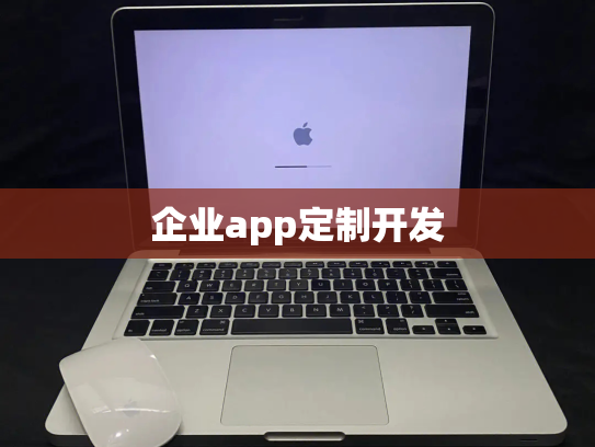 企业app定制开发