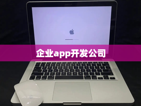 企业app开发公司