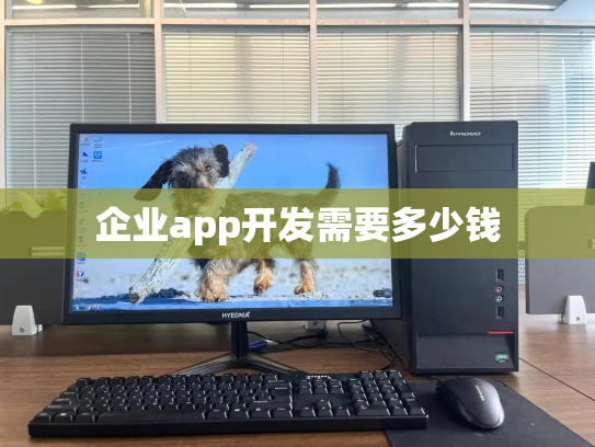 企业app开发需要多少钱