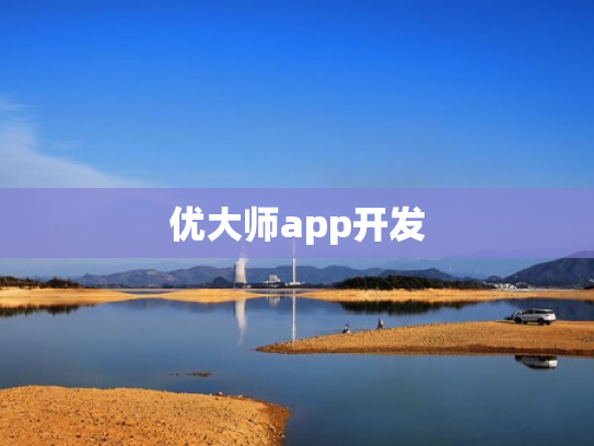 优大师app开发