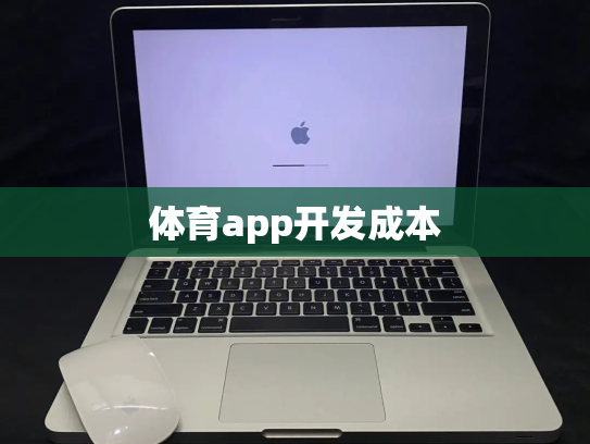 体育app开发成本