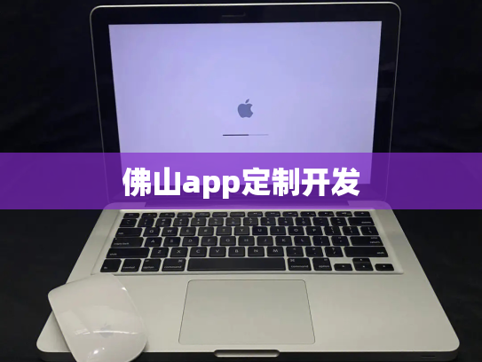 佛山app定制开发