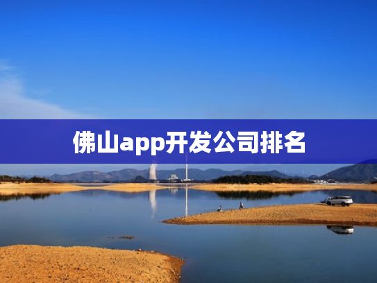 佛山app开发公司排名