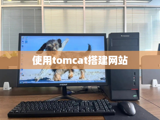 使用tomcat搭建网站