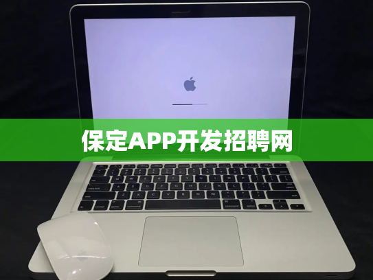 保定APP开发招聘网