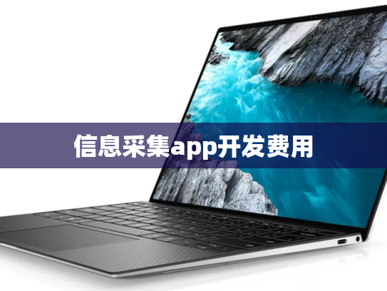 信息采集app开发费用