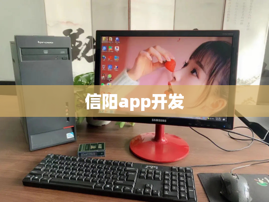 信阳app开发