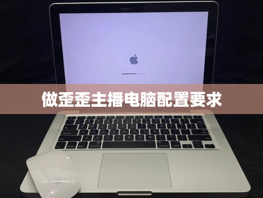 做歪歪主播电脑配置要求