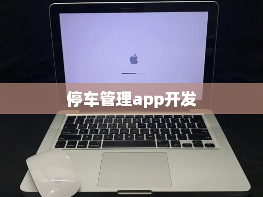 停车管理app开发