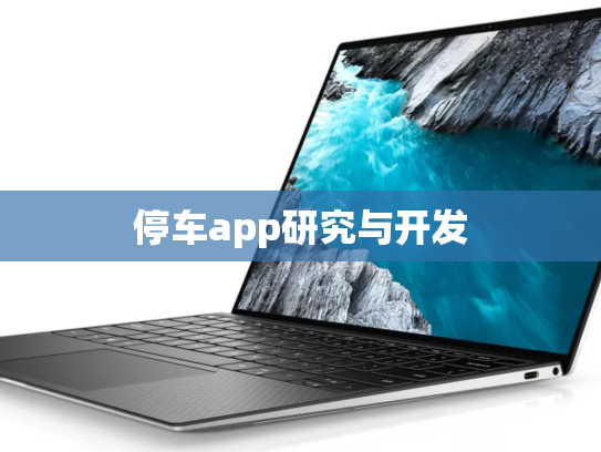 停车app研究与开发