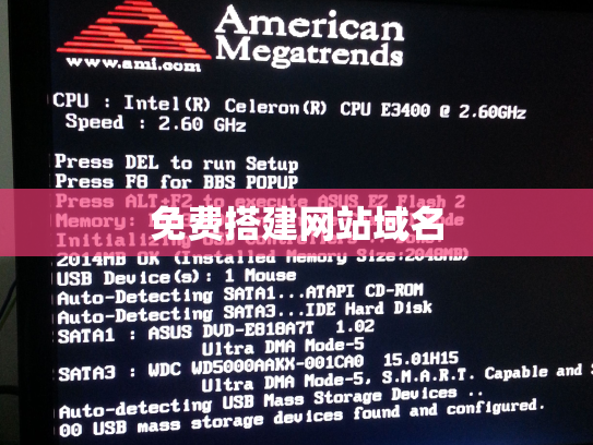 免费搭建网站域名