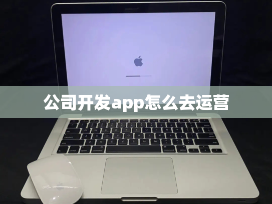公司开发app怎么去运营