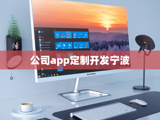 公司app定制开发宁波