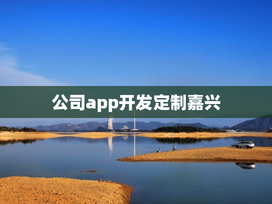 公司app开发定制嘉兴