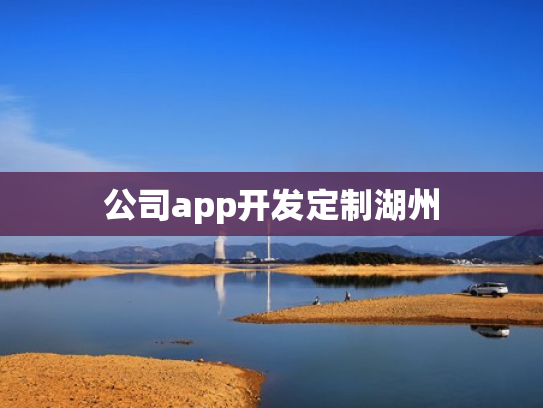 公司app开发定制湖州