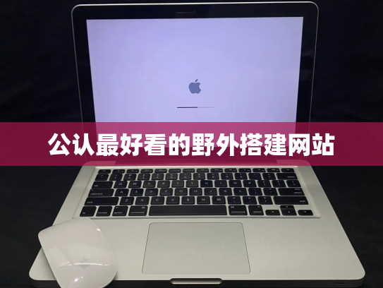 公认最好看的野外搭建网站