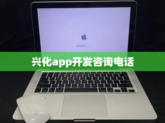 兴化app开发咨询电话