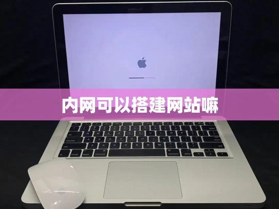 内网可以搭建网站嘛