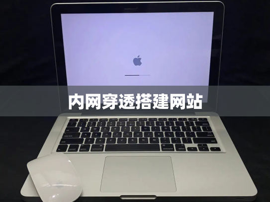 内网穿透搭建网站