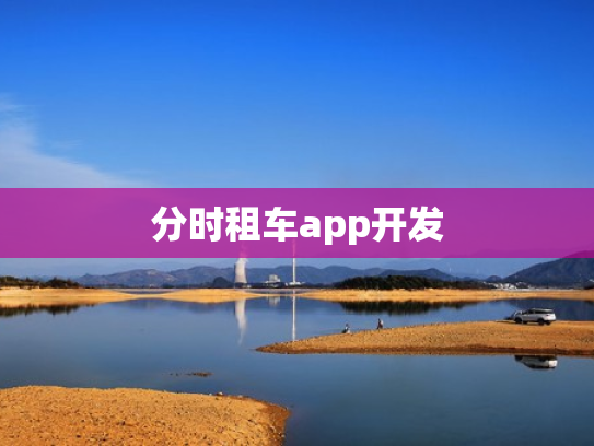 分时租车app开发