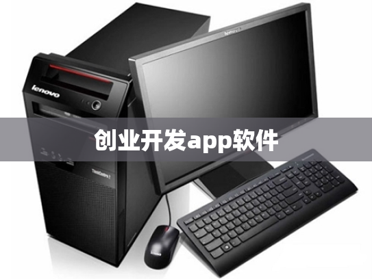 创业开发app软件