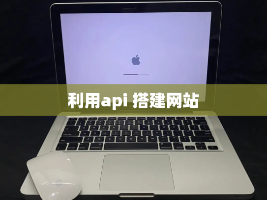 利用api 搭建网站