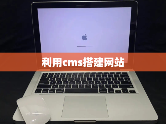 利用cms搭建网站