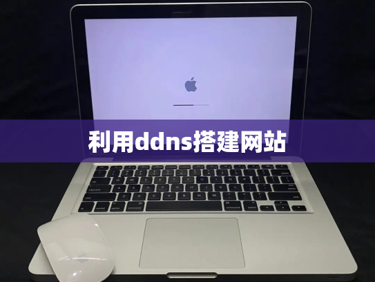 利用ddns搭建网站