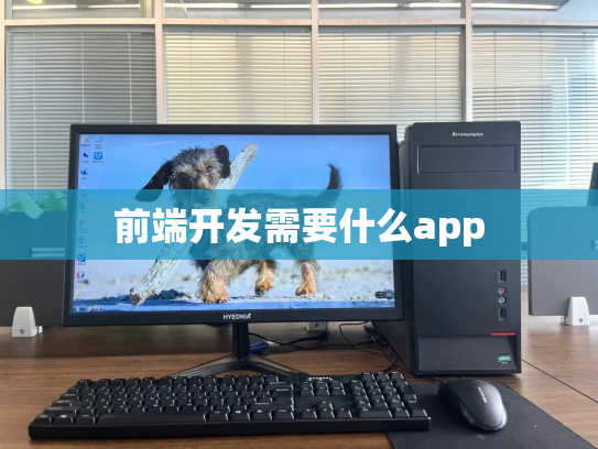 前端开发需要什么app