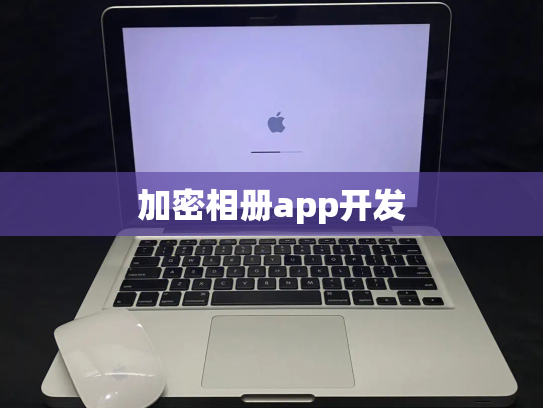 加密相册app开发