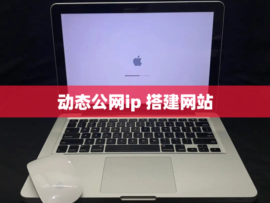 动态公网ip 搭建网站