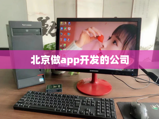 北京做app开发的公司