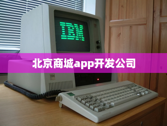 北京商城app开发公司