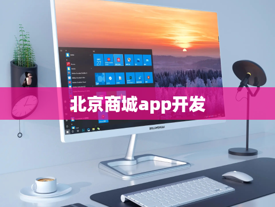 北京商城app开发