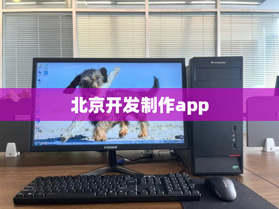 北京开发制作app