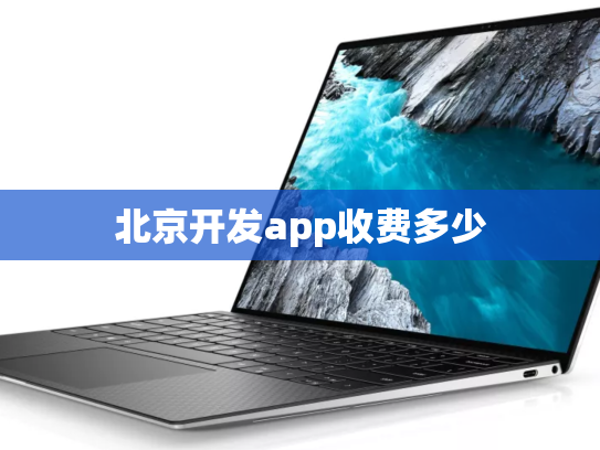 北京开发app收费多少