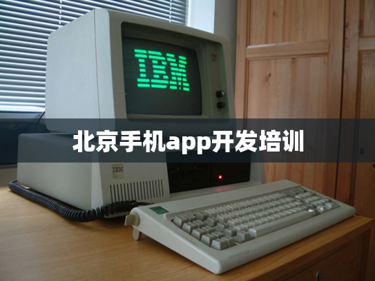 北京手机app开发培训