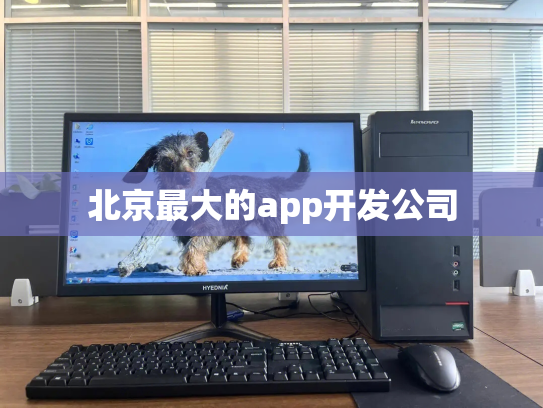 北京最大的app开发公司