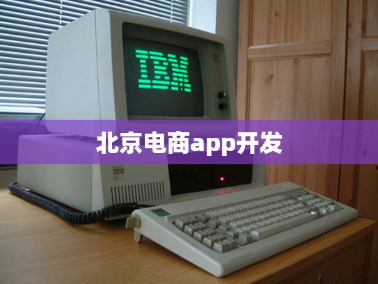 北京电商app开发
