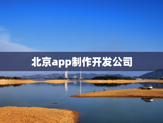 北京app制作开发公司